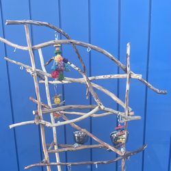 Small Bird Perch Tree… A Great Socializer… Breeder Direct Low Price ! 