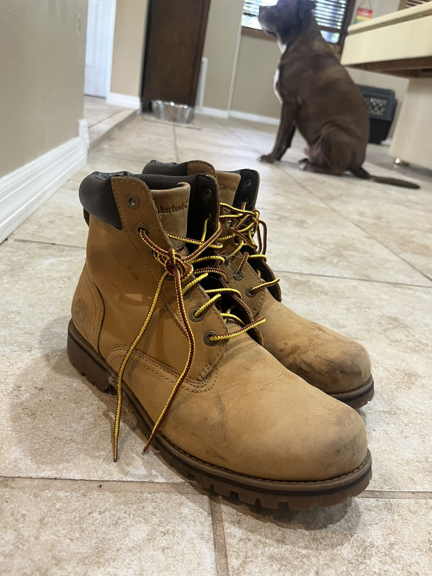 Timberland Boots: Original Wheat Color 