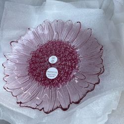 4 Platos De Cristal Wild Flower De Princes House 