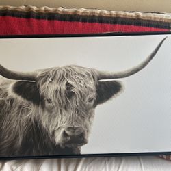 Bull Wall Art 