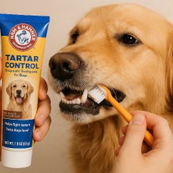 Dental Kit For Dog's 