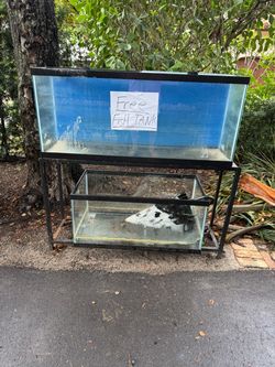 Fish Tanks and stand