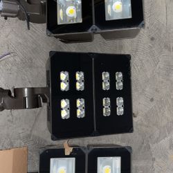 LED Floodlight 