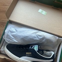 Pumas