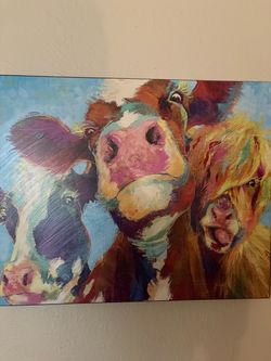 Farm house decor "cows" and Southwest themed
