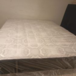 Sealy Queen Mattress And Box Spring 