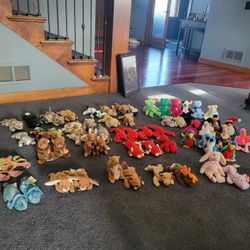 Beanie Baby Collection 