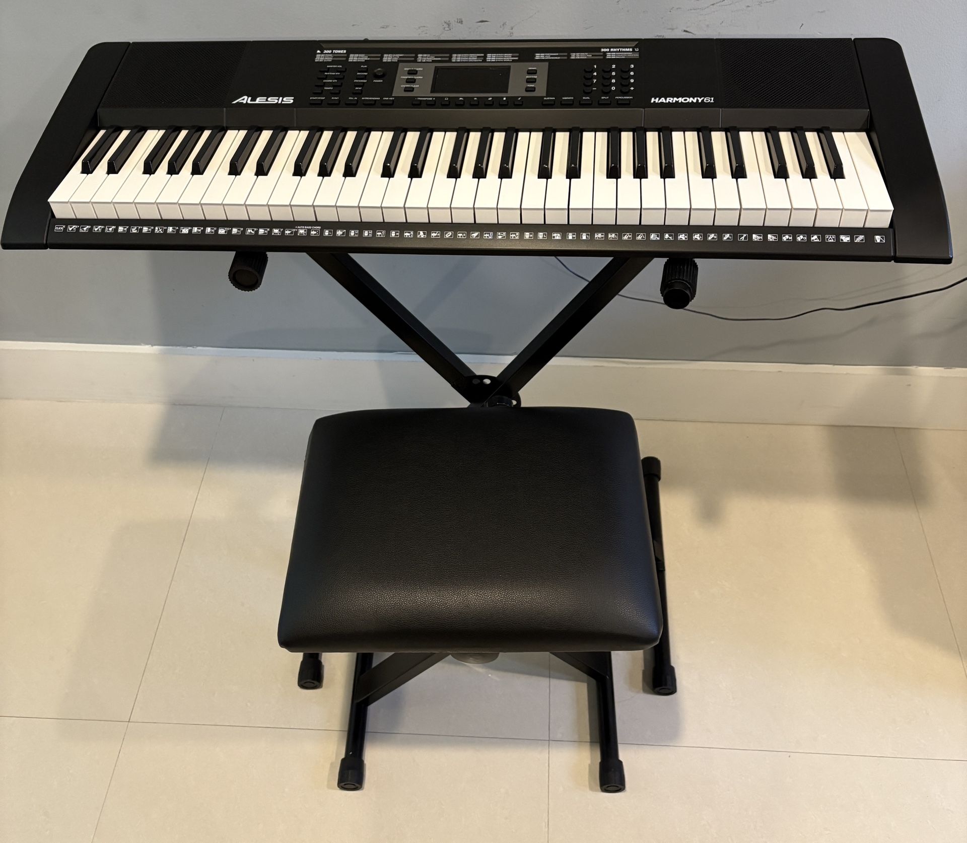 Alesis Harmony 61-key portable Keyboard