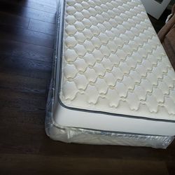 Two Firm Mattresses Twin Size (Sealy Beautyrest) 