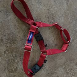 Easy Walk Dog Harness - MD