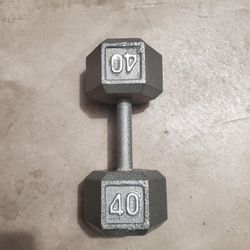 Dumbbell 40lbs ONE NEW