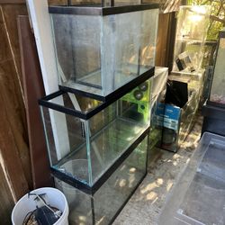 Glass Fish Tanks