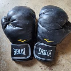 Everlast Heavybag Gloves