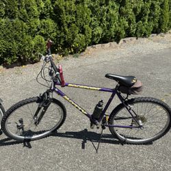 Bikes 