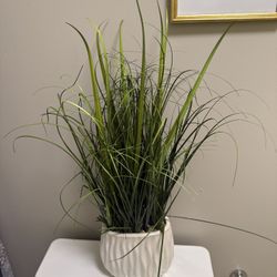 Artificial Plants 