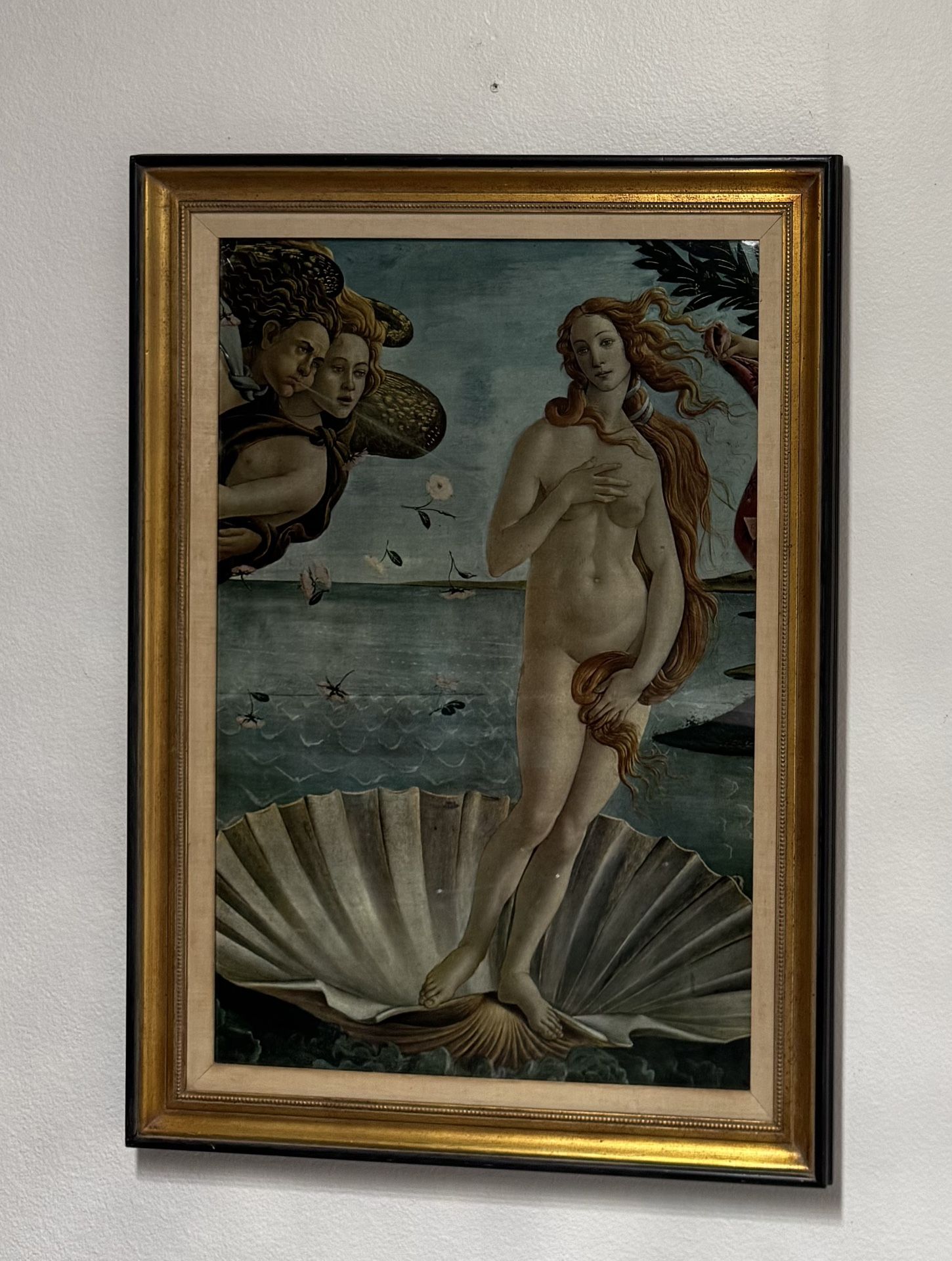 The Birth Of Venus , A Beautiful Framed Print 