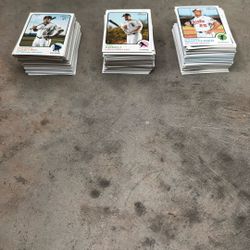 Baseball/basketball Cards