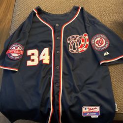 BRYCE HARPER STITCHED ALTERNATE NATIONALS JERSEY