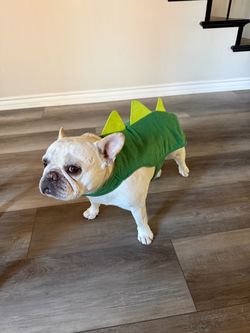 Dog dinosaur costume – medium