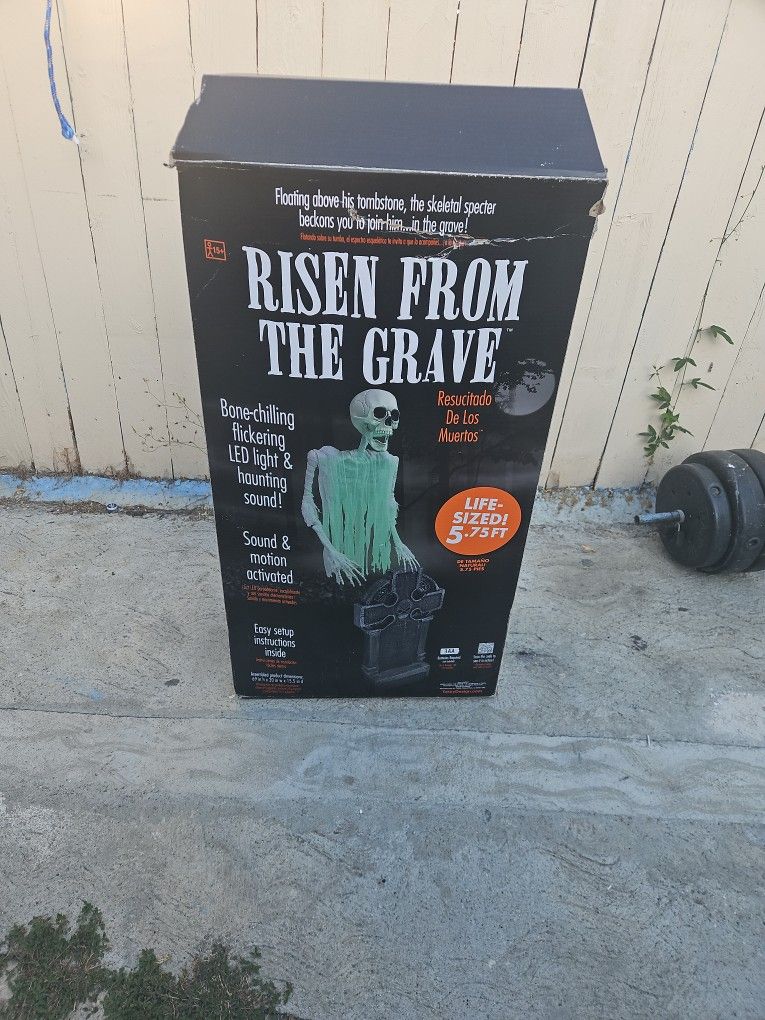 Halloween 30