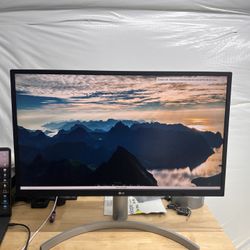 LG 4K Monitor - UL550-W