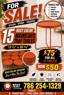 🟠 15 Rust Color Mainstays Tray Tables – Now $50 for All!