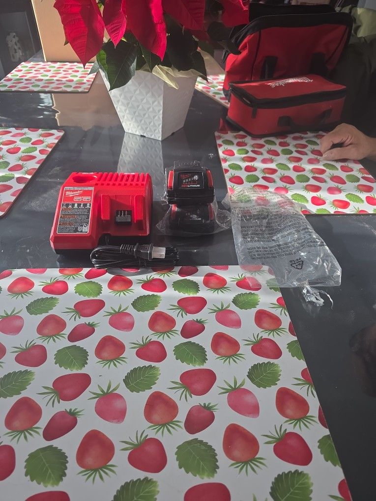 Milwaukee 2 Batteries and Charger. Red Lithium 2.0. New