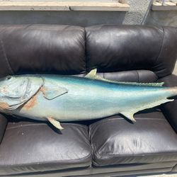 FISH WALL MOUNT 