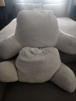 Two back support pillows
