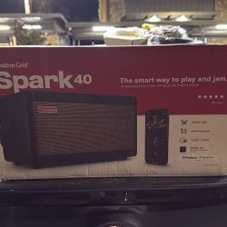 Positive Grid Spark 40