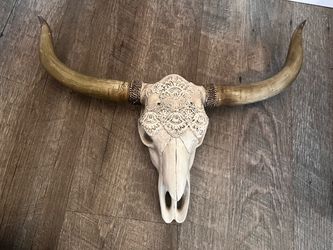 Cow  Skull wall decor