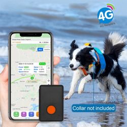 🐾 Pet GPS Tracker – Real-Time Location | 4G | App Included 📍