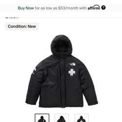 Supreme X The North Face Jacket 