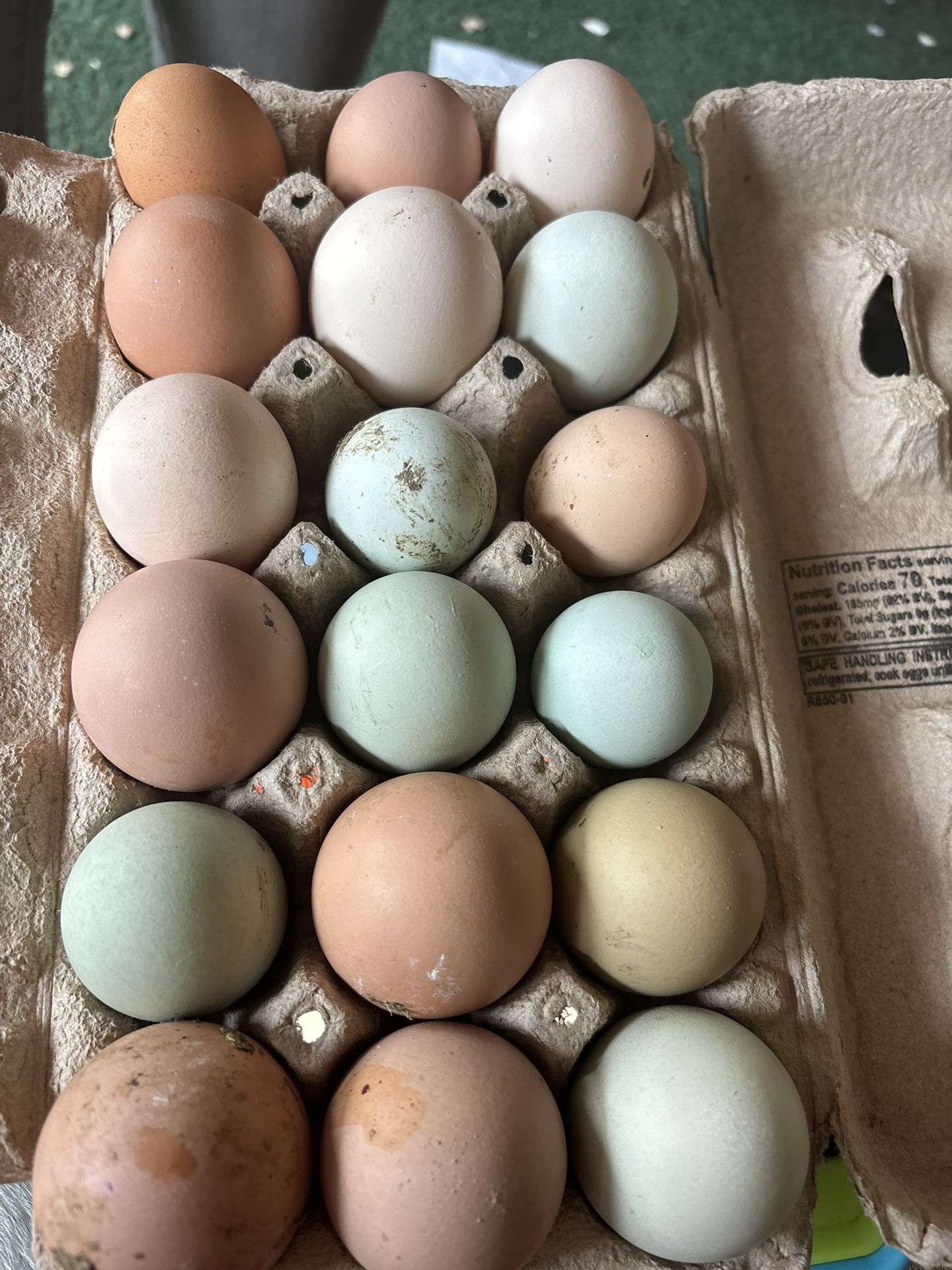 Farm Fresh Eggs For Sale 