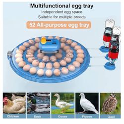 Automatic Egg Incubator (Originally $430)