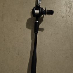 Slx DC 30 Pound Braid Costom Empire Rod