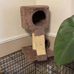 cat tree