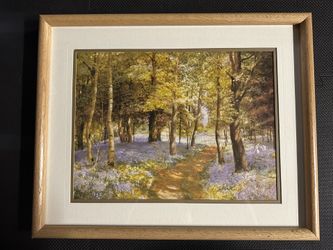 Bluebell Wood By T.J. Watts Art Woods, Trees, Flowers Framed 