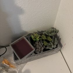 Scentsy Suc-Cute-Lent Wax Warmer