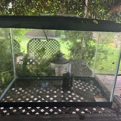 20 Gallon Aquarium 