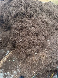 Organic cedar mulch