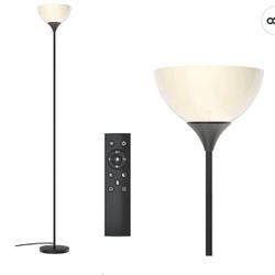 PESRAE Floor Lamp, Remote Control with 4 Color Temperatures,