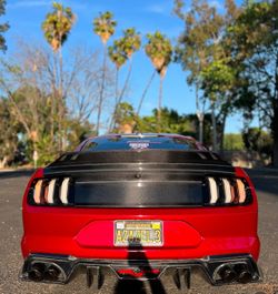 15-23 mustang carbon trunks