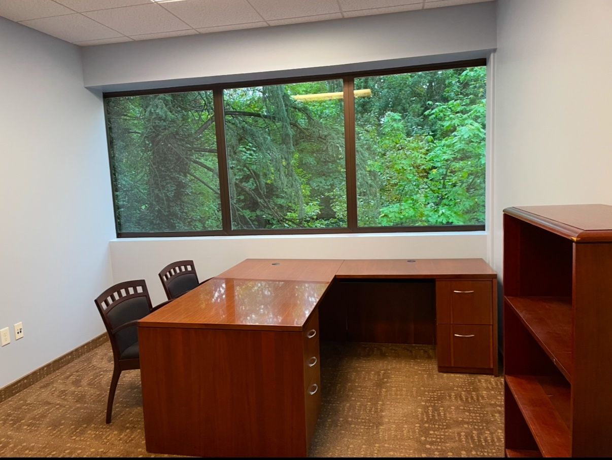Executive L-Shaped Desk, Credenza, and 2 Chairs