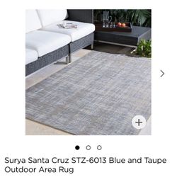 Large, like-new Indoor/Outdoor Rug