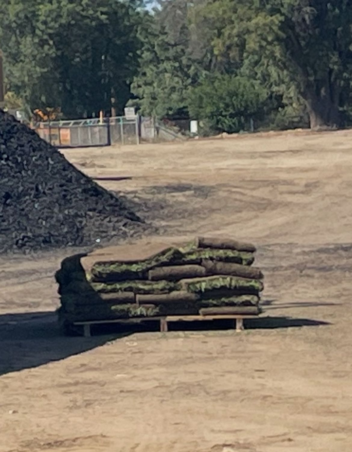 Natural Sod $3