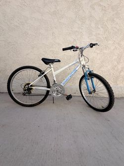 Roadmaster Mountain Bike