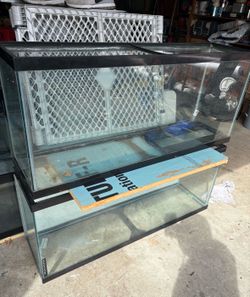 55 gallon tank