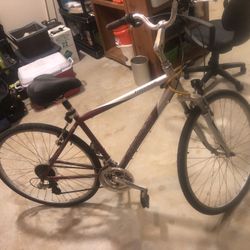 Crossroads Specialized 8 Speed Bike