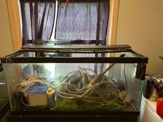 40 Gallon Wide Fish Tank With Accessories
